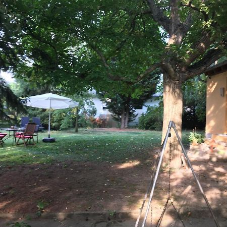 Biggi'S Garten-Finca Flonheim Eksteriør billede